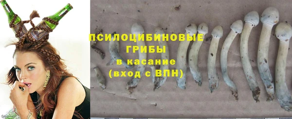 тгк Медвежьегорск