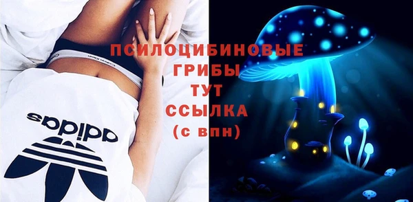 тгк Медвежьегорск