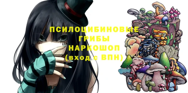 тгк Медвежьегорск