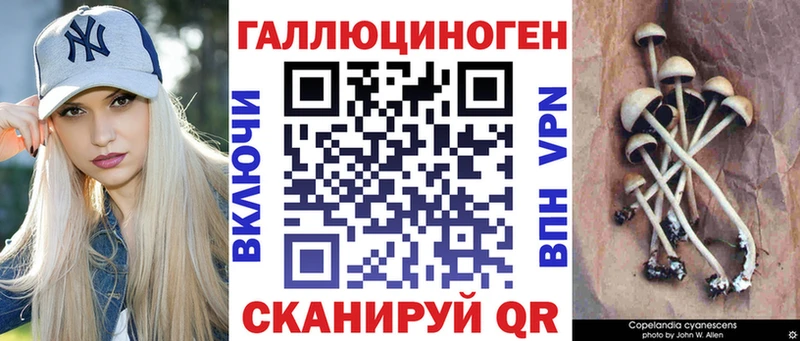Псилоцибиновые грибы Psilocybe  Астрахань 
