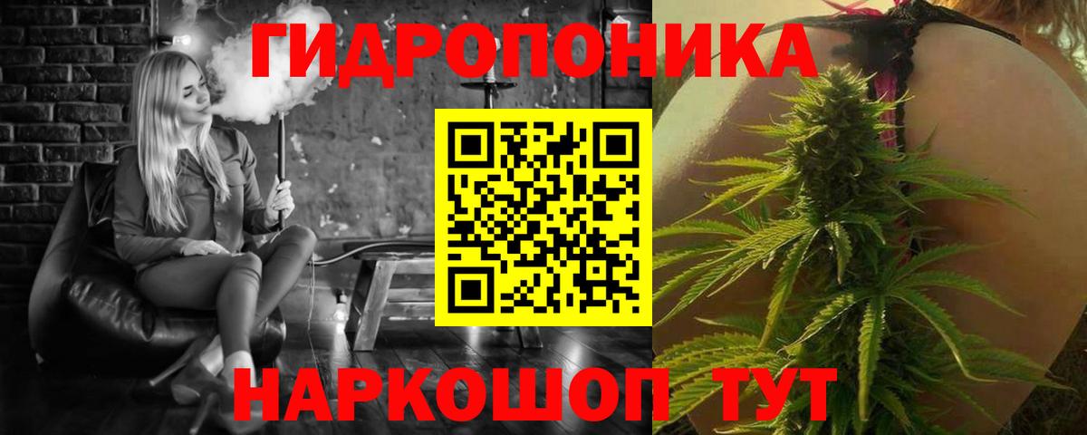 Бошки Шишки Bruce Banner  Вход с VPN  Астрахань  Каннабис планчик  Канабис сатива  Шишки марихуана семена 